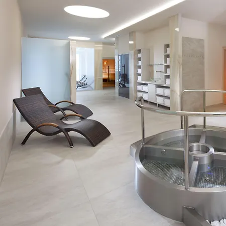 Hotel Francis Palace