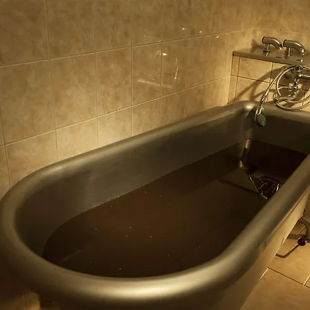 Francis Palace 4* Františkovy Lázně