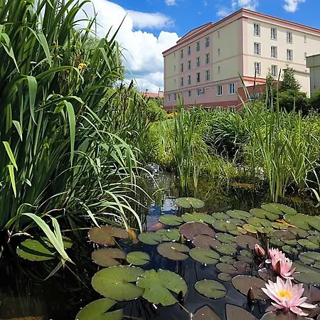 Otel Francis Palace 4*