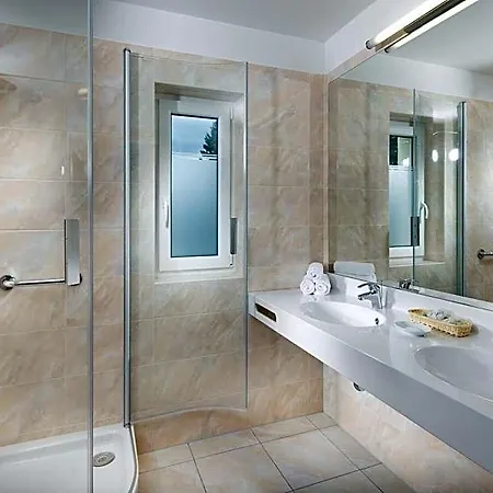 Hotel Francis Palace 4*