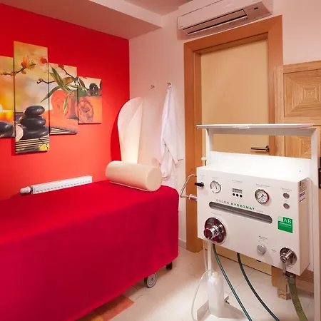 Otel Francis Palace Františkovy Lázně
