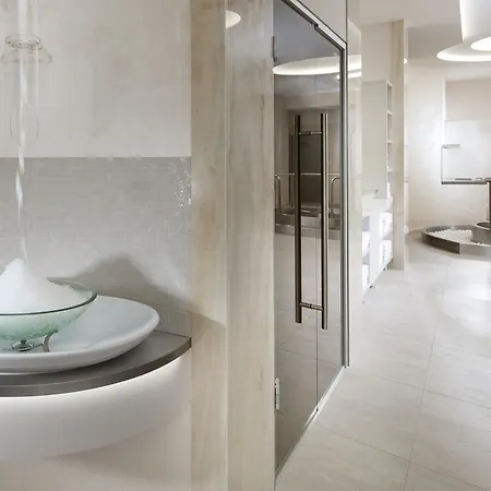 Otel Francis Palace 4*