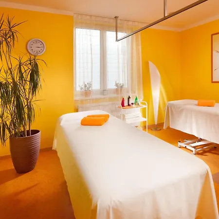 Otel Francis Palace 4*