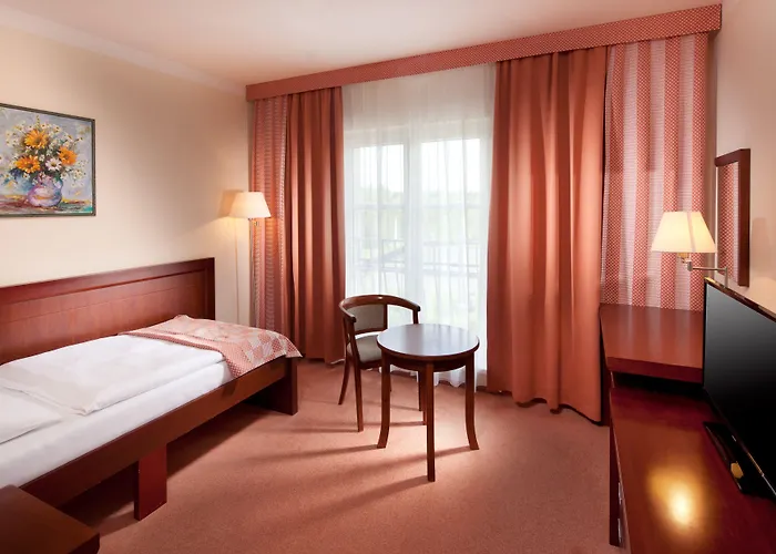Hotel Francis Palace 4*